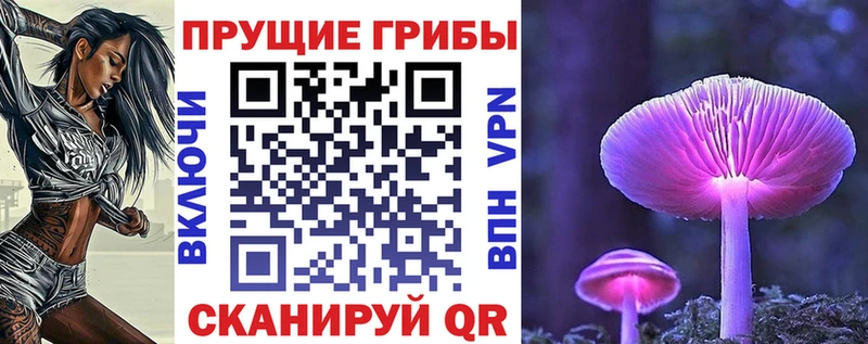 Псилоцибиновые грибы ЛСД  гидра tor  маркетплейс телеграм  Покров 
