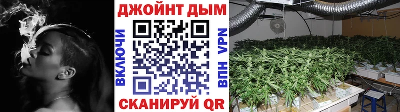 Марихуана OG Kush  купить  цена  Покров 